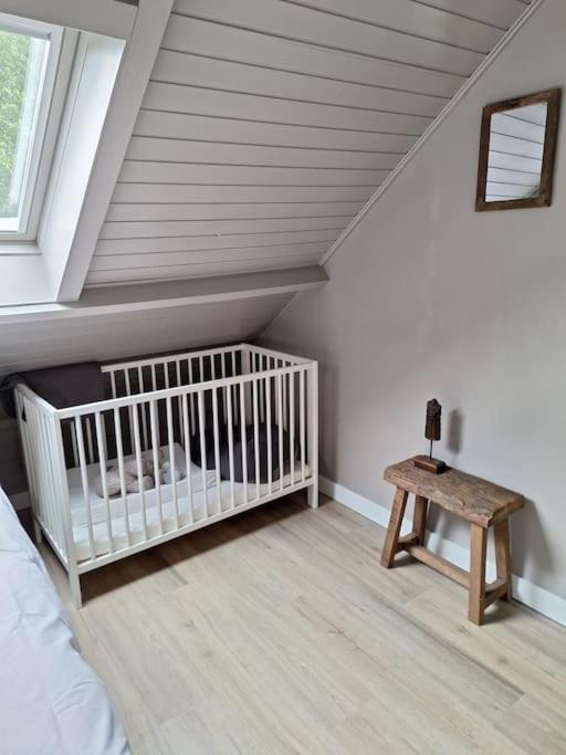 Family Wellness Lodge 4 Personen Zuid-Holland! Ooltgensplaat Extérieur photo
